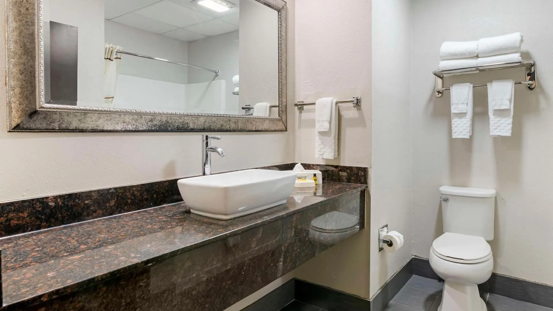 Hotel Best Western Savannah Airport Inn & Suites Pooler